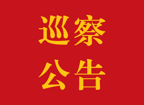 巡察公告